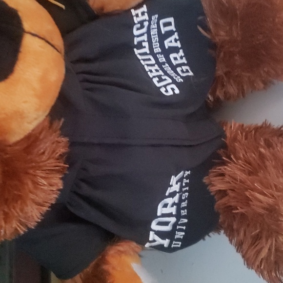 🎓 Graduation from York University 🧸 teddy bear FREE DELIVERY - Picture 5 of 5
